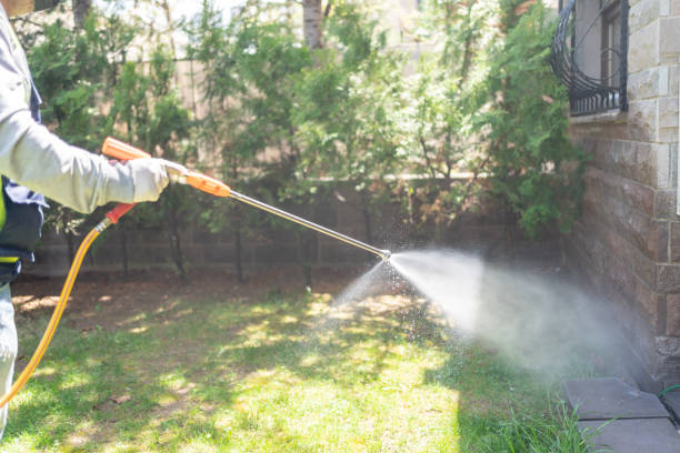 Best Mosquito Control  in West Salem, WI